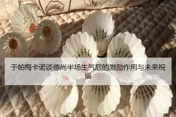 于帕梅卡诺谈德尚半场生气后的激励作用与未来祝福